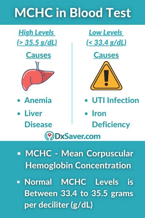 low mch blood test|Low MCHC in blood tests: Symptoms and causes.